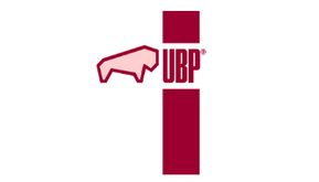 Logo Ubp-consulting GmbH & Co KG